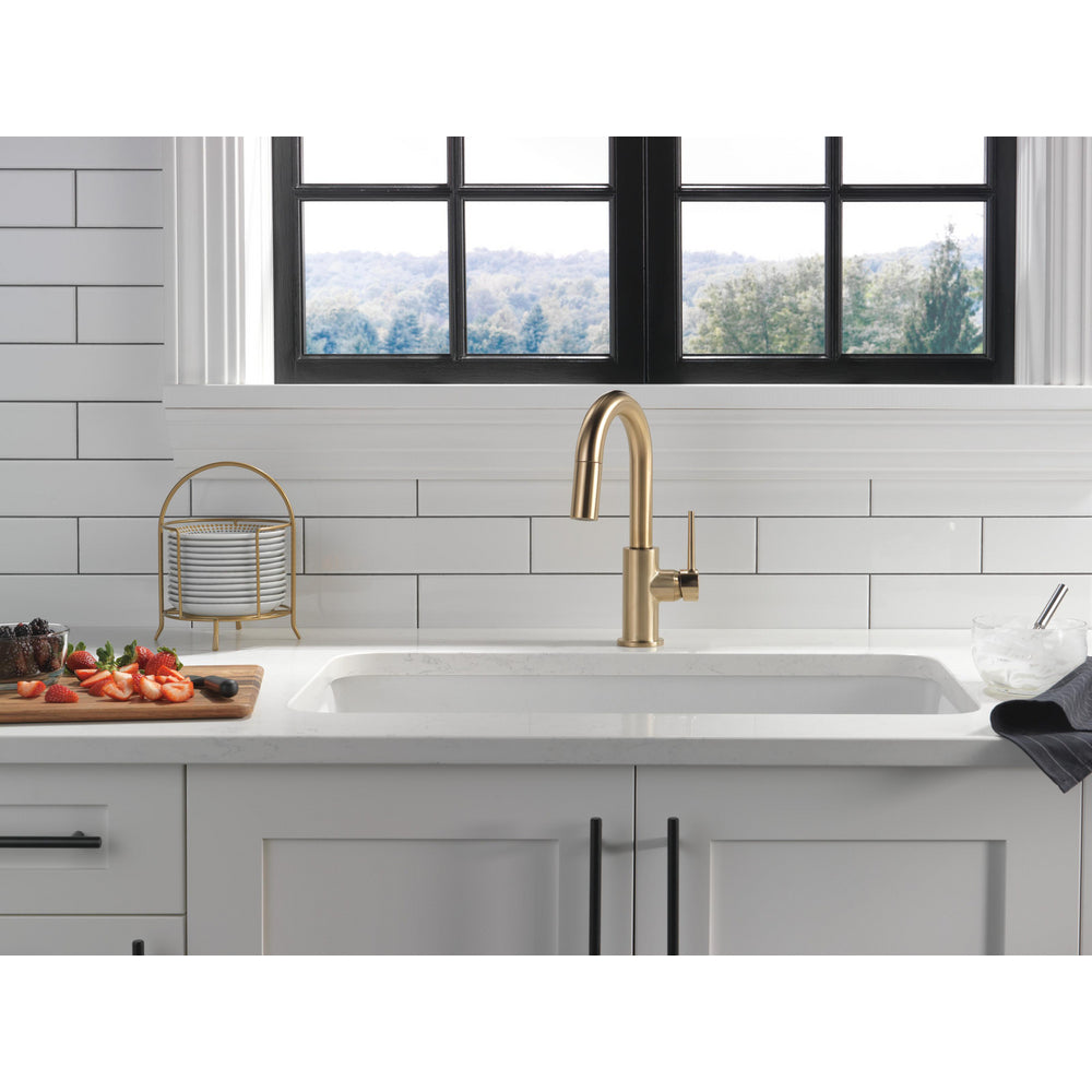 Delta 9959-CZ-DST Trinsic® 1-Handle Bar Faucet with Pull-Down Sprayer, Champagne Bronze