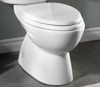 American Standard 3067316.020 FloWise Dual Flush Elongated Bowl with Seat in White | Plumbers Center