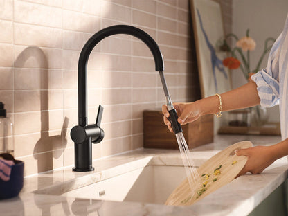 Moen 7622BL Cia Single-Handle High Arc Kitchen Faucet with Pull-Down Power Boost Sprayer, Matte Black 