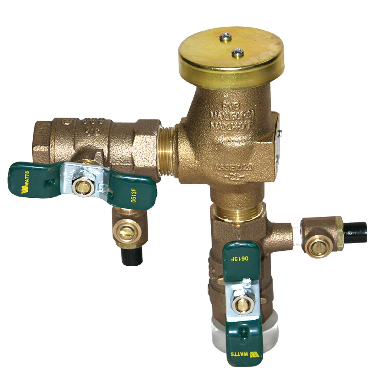 Watts 0387096, 800M4QT-1/2" Anti-Siphon Pressure Vacuum Breaker Backflow Preventer with Quarter Turn Shutoff & Tee Handles 