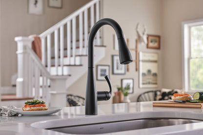 Moen 87014BL Essie One-Handle Pulldown Kitchen Faucet with Soap Dispenser - Matte Black 