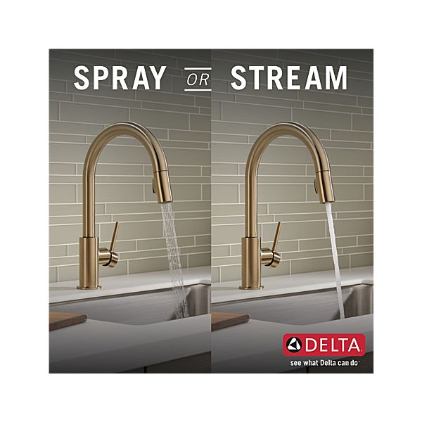 Delta 9159-CZ-DST Trinsic Single Handle Kitchen Faucet with Pulldown Sprayer - Champagne Bronze 