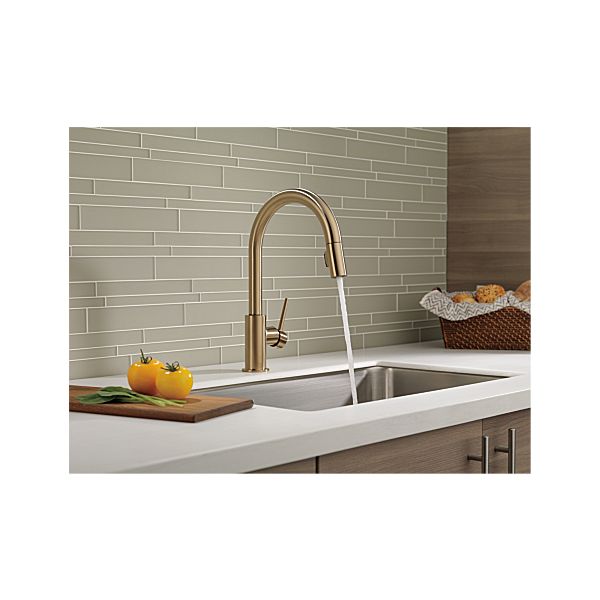 Delta 9159-CZ-DST Trinsic Single Handle Kitchen Faucet with Pulldown Sprayer - Champagne Bronze 