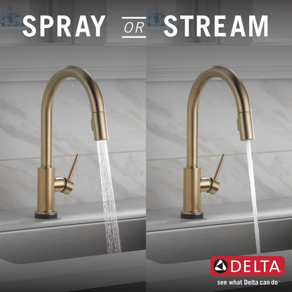 Delta 9159T-CZ-DST Trinsic 1-Handle Touch Kitchen Faucet with Pull-Down Sprayer & Touch2O Technology, Champagne Bronze