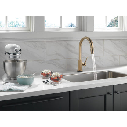 Delta 9159T-CZ-DST Trinsic 1-Handle Touch Kitchen Faucet with Pull-Down Sprayer & Touch2O Technology, Champagne Bronze