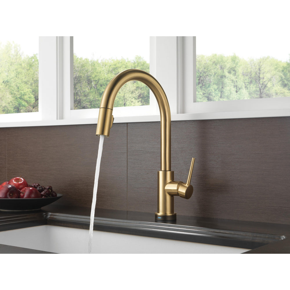 Delta 9159T-CZ-DST Trinsic 1-Handle Touch Kitchen Faucet with Pull-Down Sprayer & Touch2O Technology, Champagne Bronze 