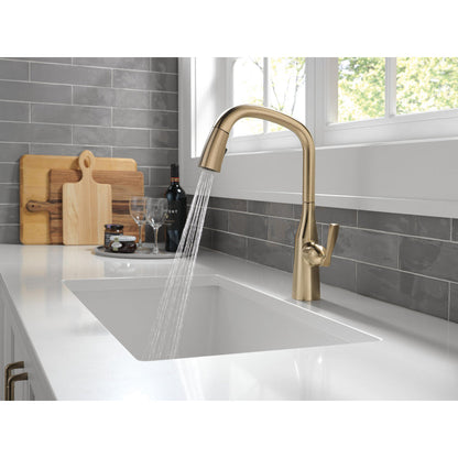 Delta 9176-CZ-PR-DST Stryke 1-Handle Kitchen Faucet with Pulldown Sprayer in Champagne Bronze Finish 