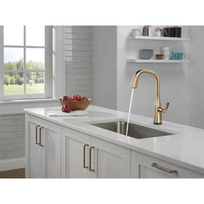 Delta 9176T-CZ-PR-DST Stryke 1-Handle Kitchen Faucet with Touch2O Technology and Pulldown Sprayer in Champagne Bronze 