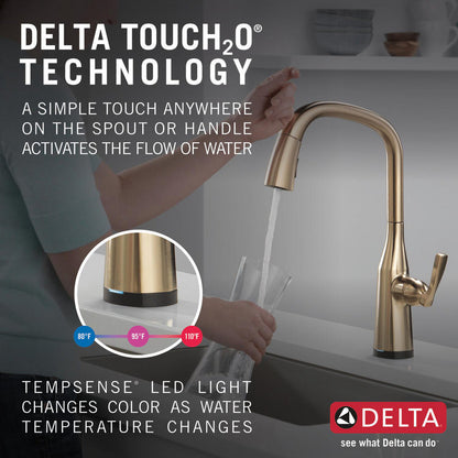 Delta 9176T-CZ-PR-DST Stryke 1-Handle Kitchen Faucet with Touch2O Technology and Pulldown Sprayer in Champagne Bronze 