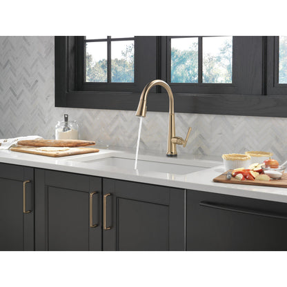 Delta 9182T-CZ-PR-DST Single Handle Pull Down Kitchen Faucet with Touch2O Technology & ShieldSpray Technology 