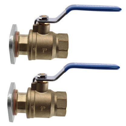 Grundfos 96806131 1" GF 15/26 Bronze Dielectric Isolation Valve Pair with Threaded Ends 