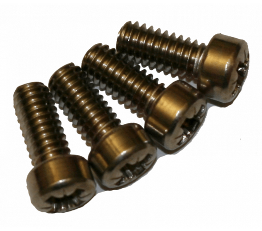 Delta 060078A Flush Valve 10525 Cap Screws (12/Pack) | Plumbers Center